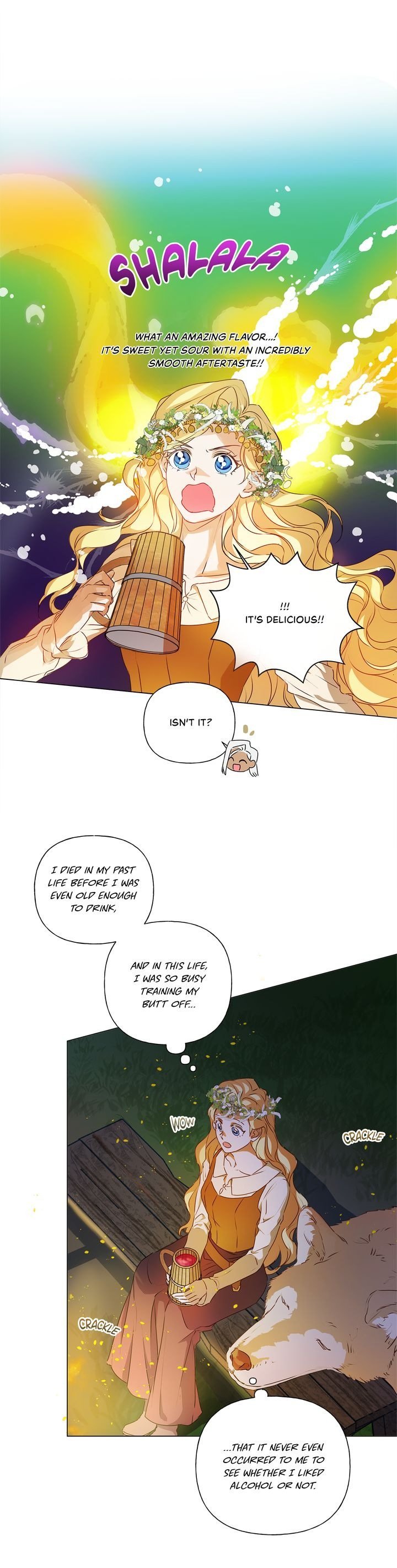 The Golden Haired Elementalist Chapter 55 - Page 21