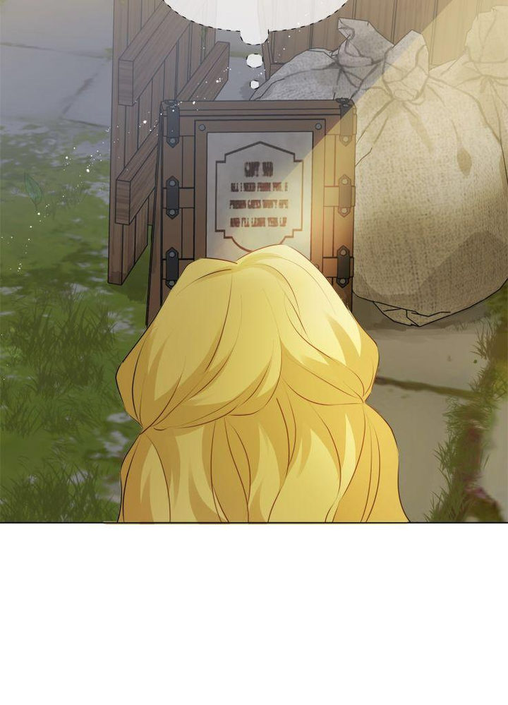 The Golden Haired Elementalist Chapter 72 - Page 94