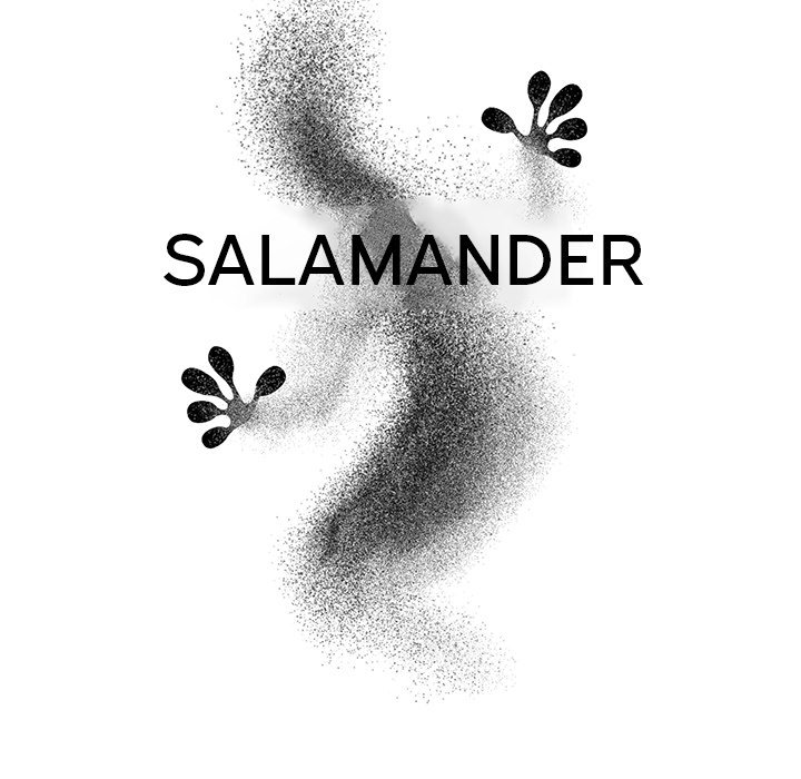 Salamander Chapter 9 - Page 29