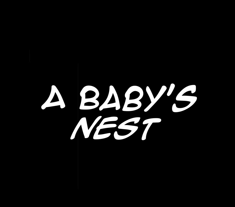 A Baby’s Nest Chapter 12 - Page 3