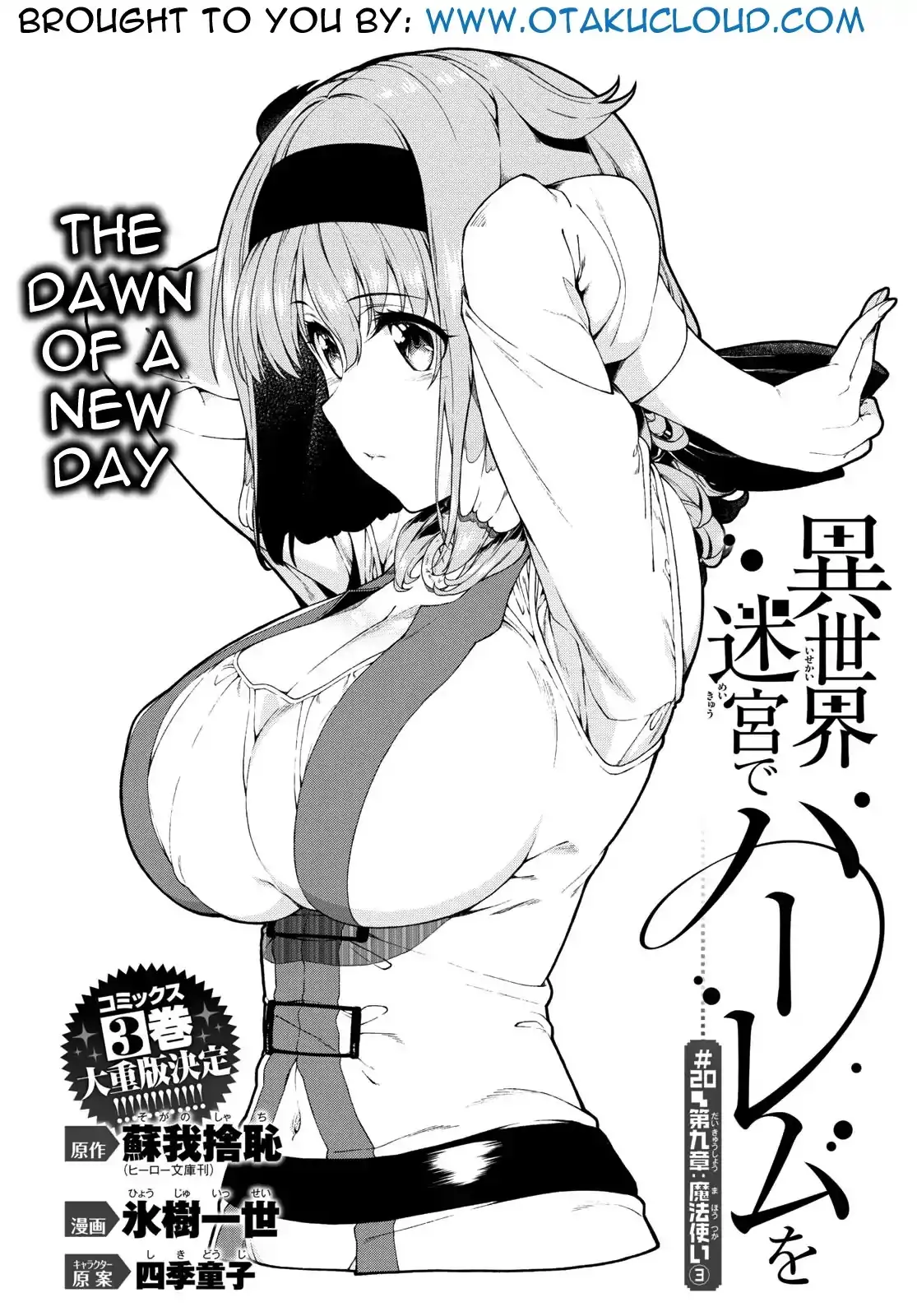 Isekai Meikyuu de Harem wo Chapter 20 - Page 3