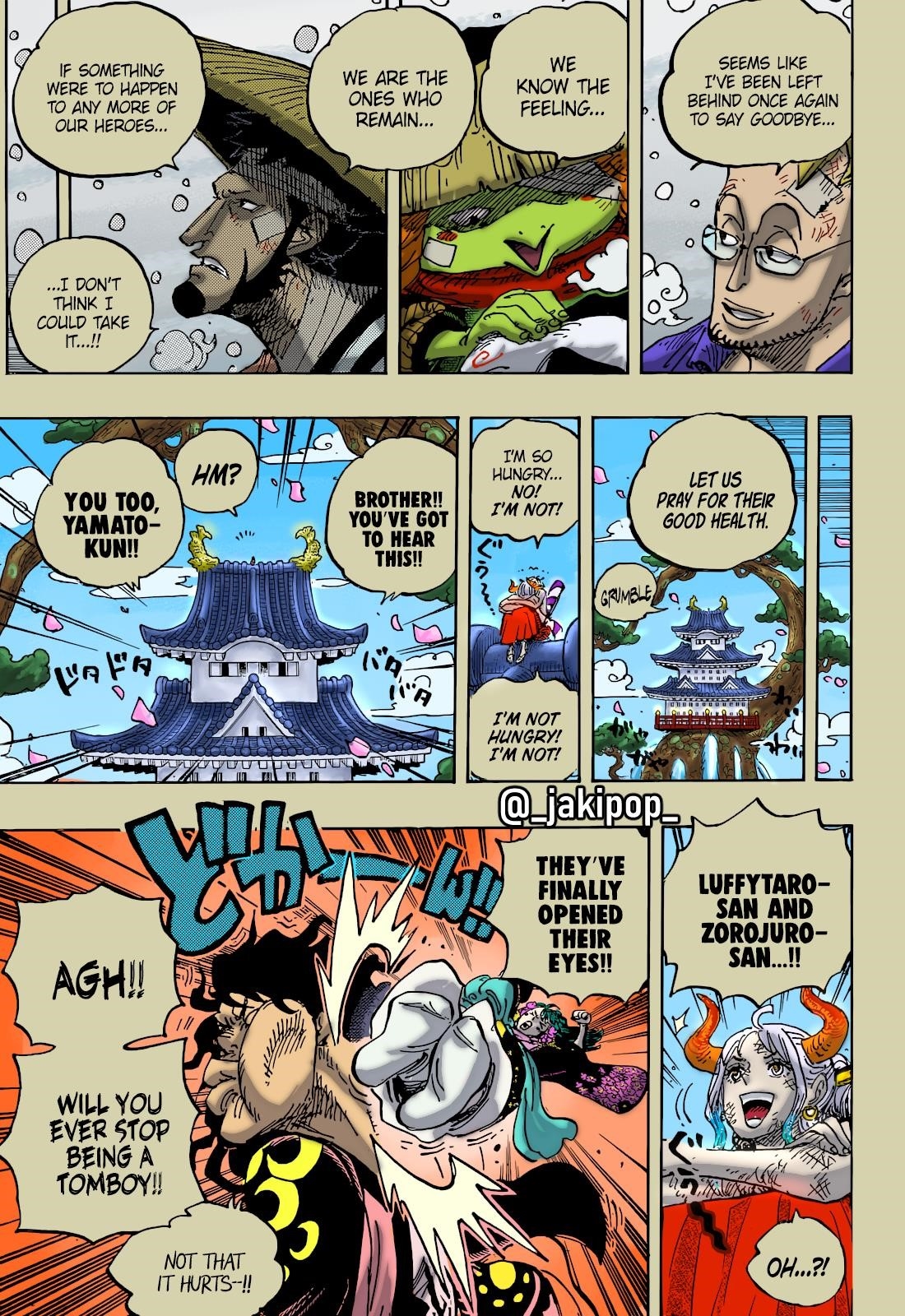 One Piece Chapter 1052 - Page 17