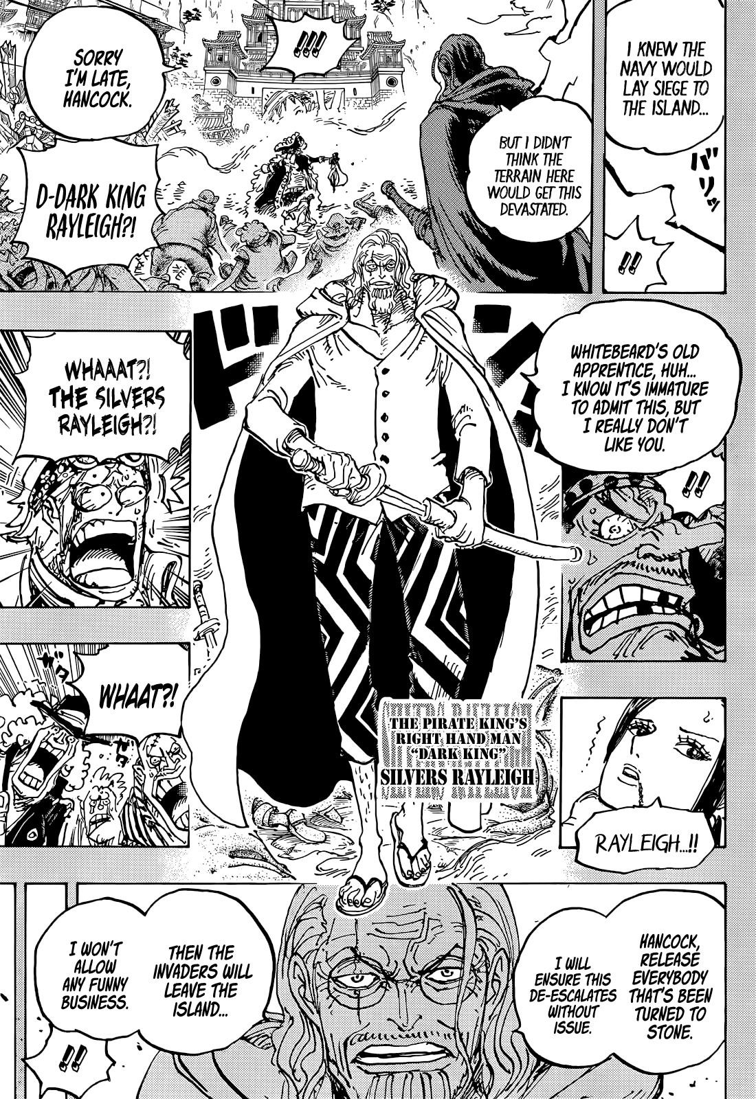 One Piece Chapter 1059 - Page 14