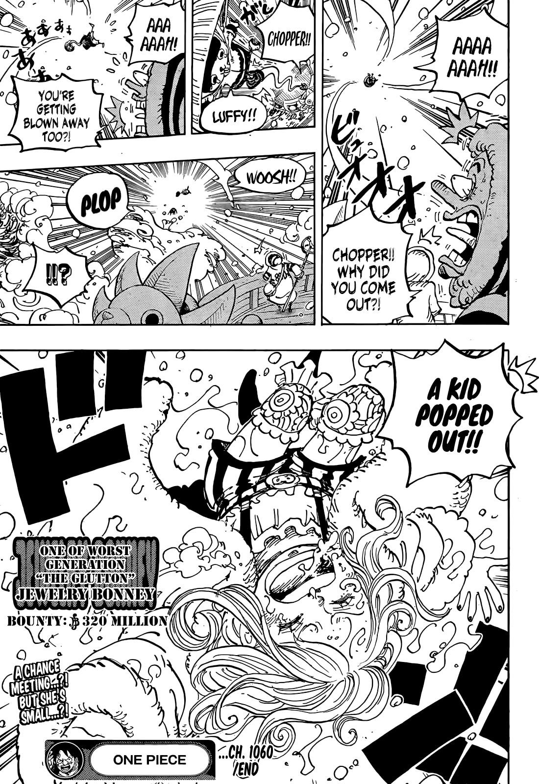 One Piece Chapter 1060 - Page 17