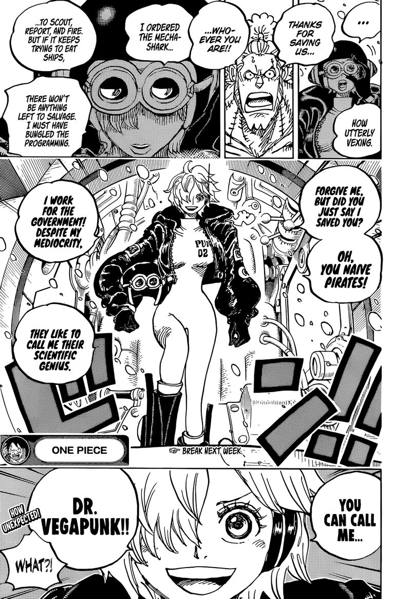 One Piece Chapter 1061 - Page 13