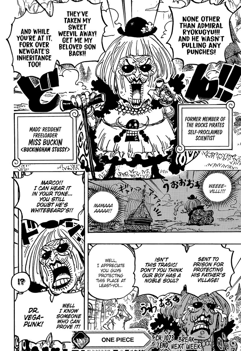 One Piece Chapter 1073 - Page 14