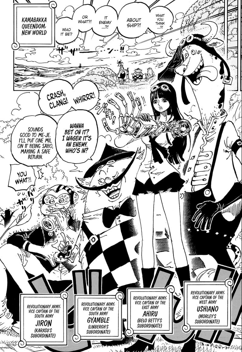 One Piece Chapter 1082 - Page 11