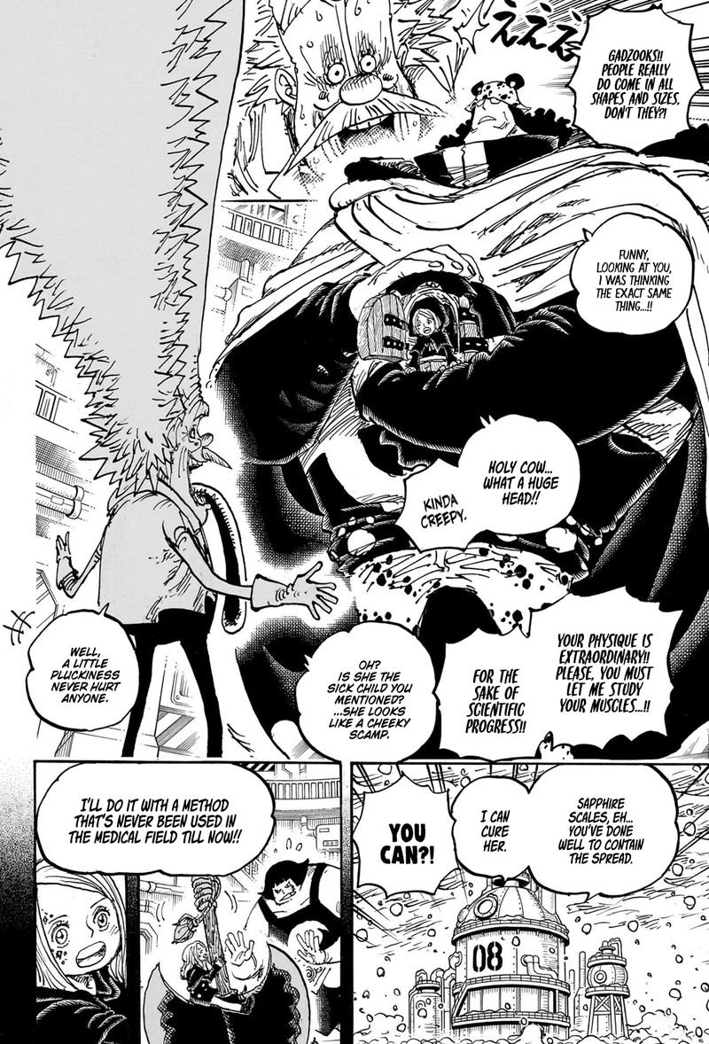 One Piece Chapter 1099 - Page 13