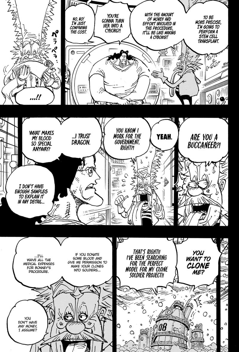 One Piece Chapter 1099 - Page 14