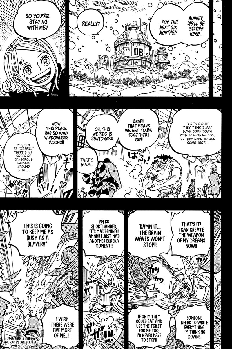 One Piece Chapter 1100 - Page 9