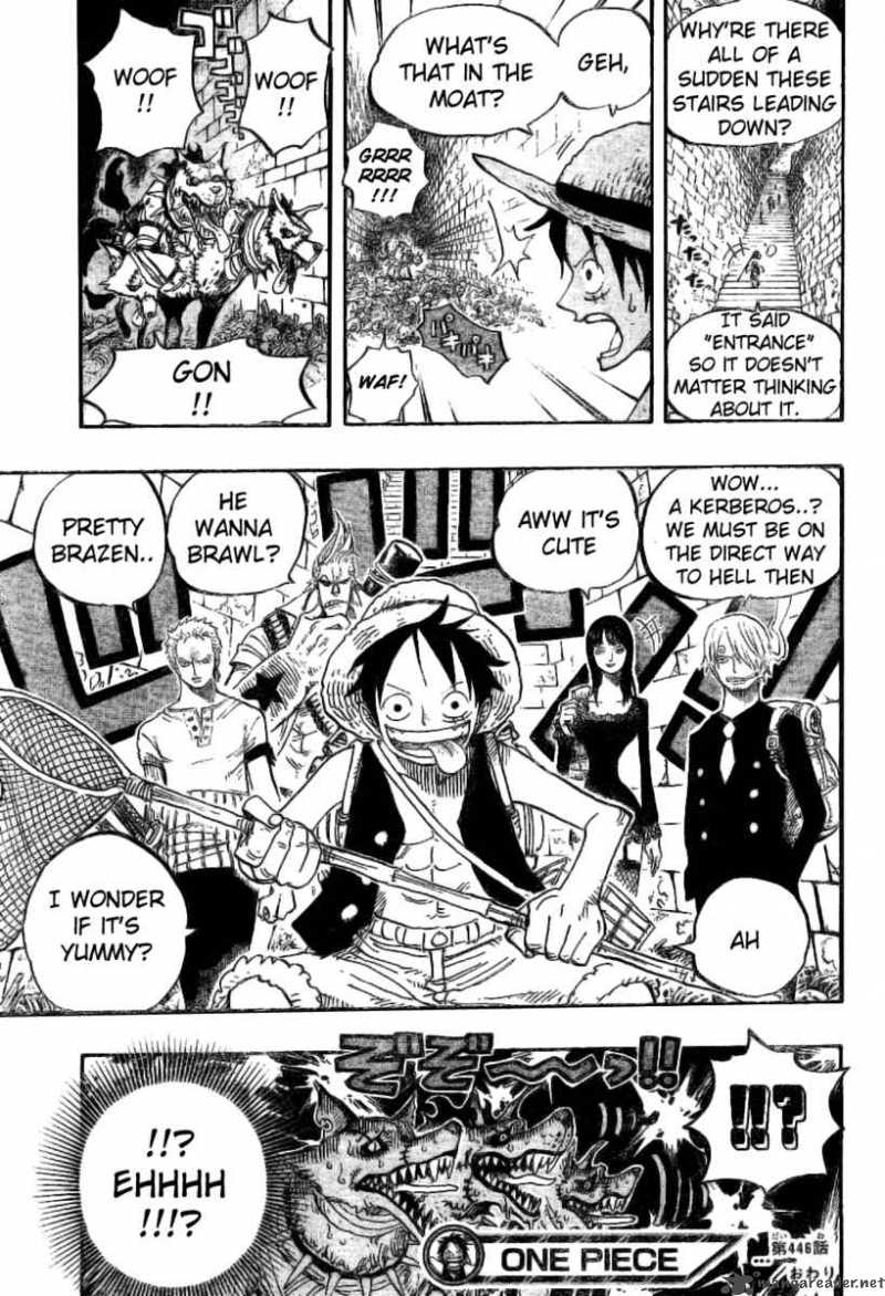 One Piece Chapter 446 - Page 18