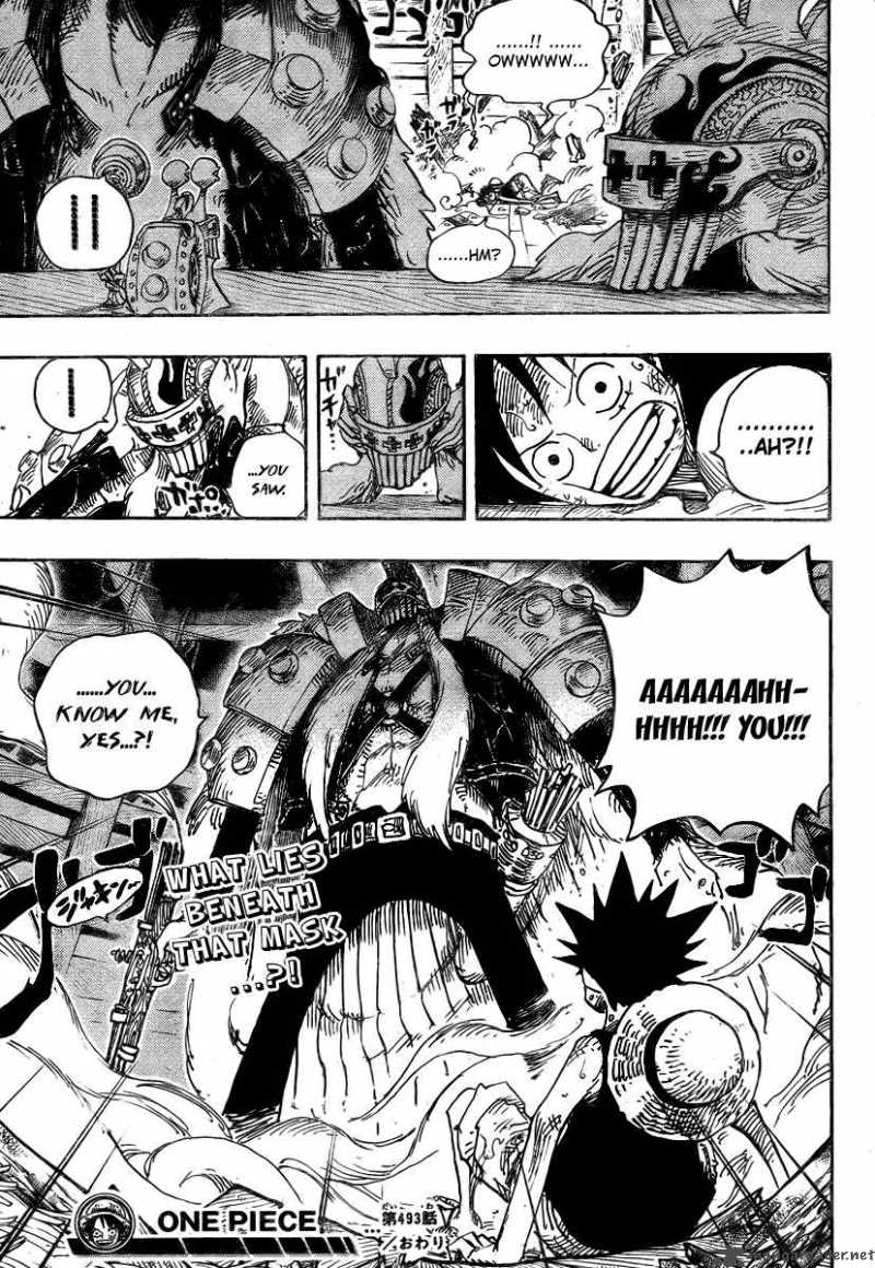 One Piece Chapter 493 - Page 19