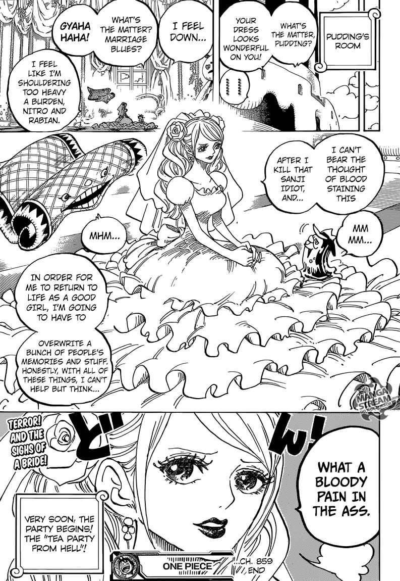 One Piece Chapter 859 - Page 16