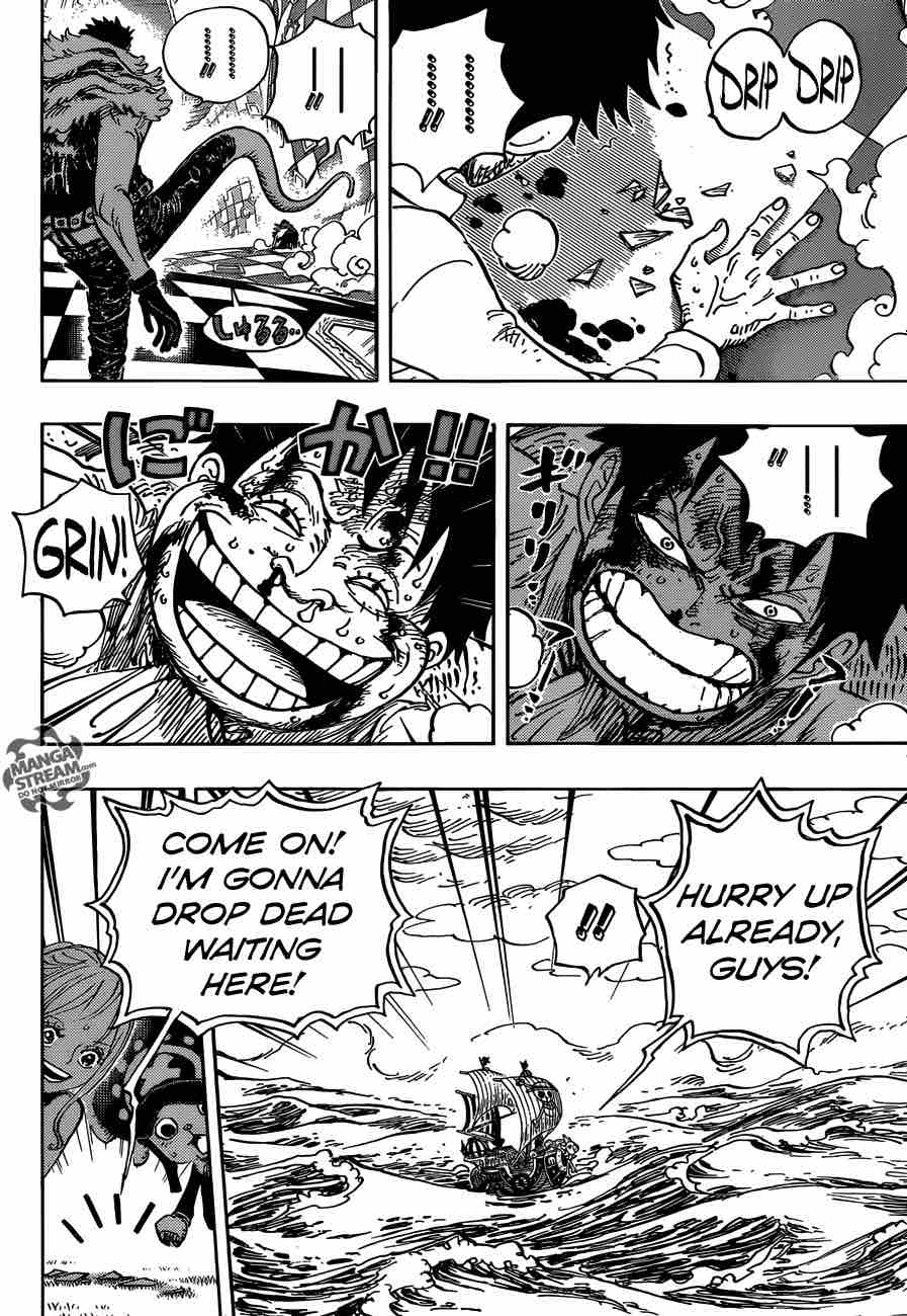 One Piece Chapter 881 - Page 15