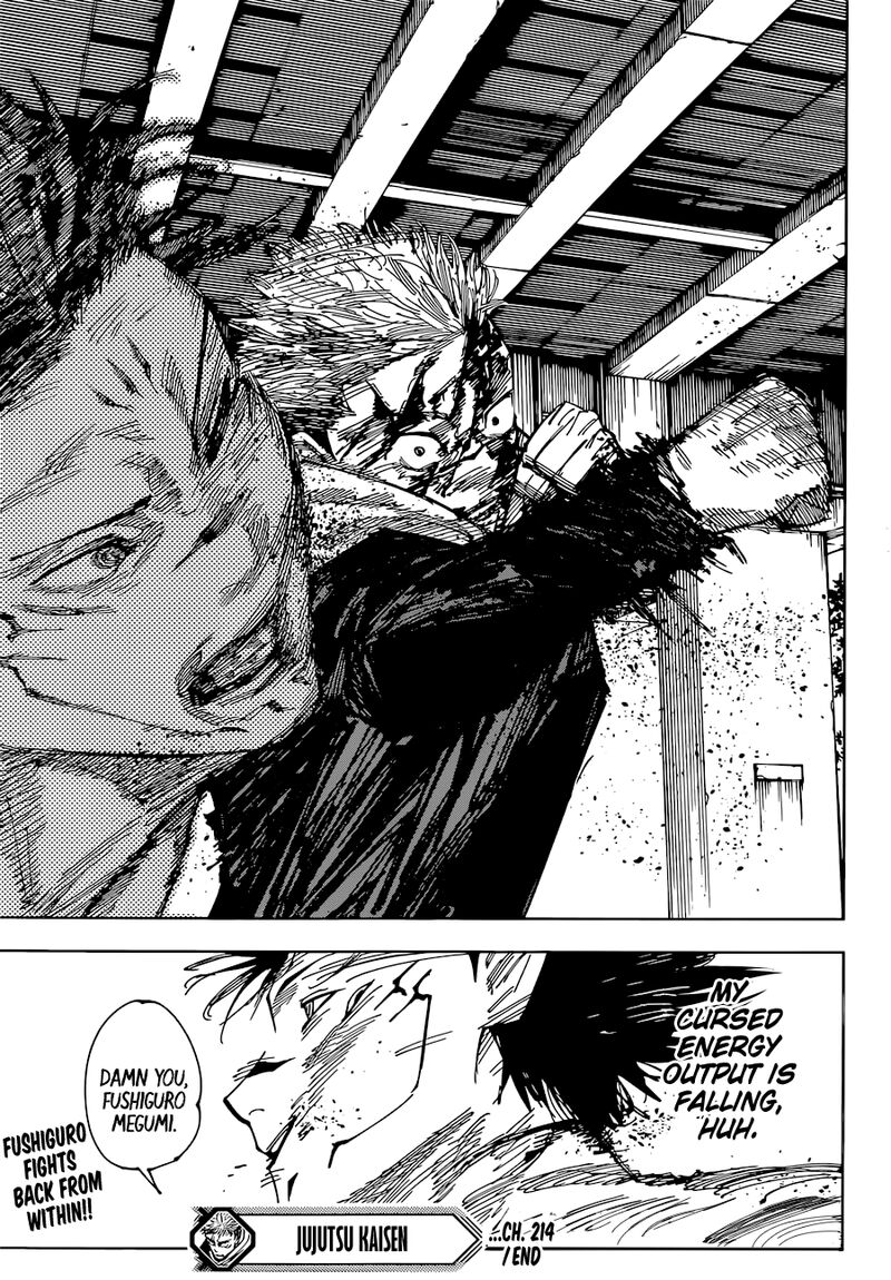 Jujutsu Kaisen Chapter 214 - Page 17