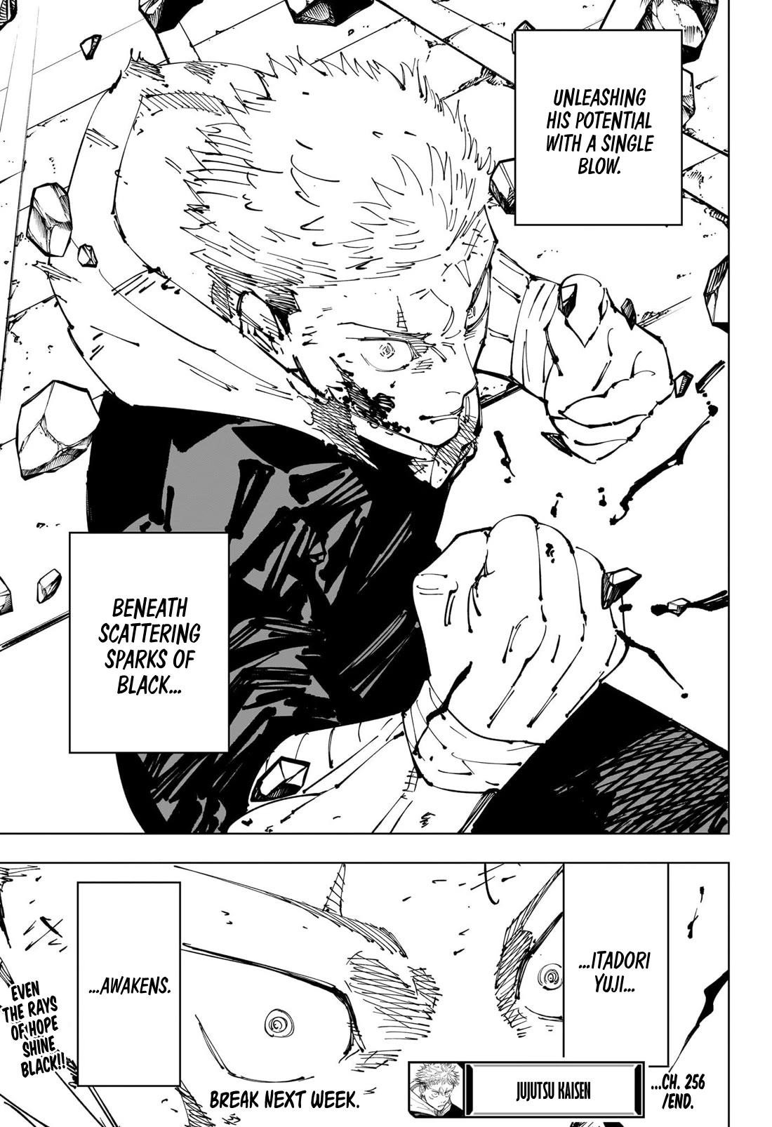 Jujutsu Kaisen Chapter 256 - Page 19