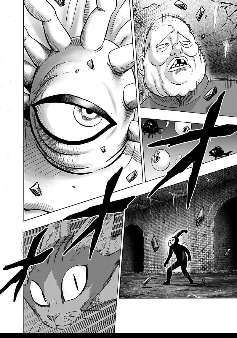 One Punch Man Chapter 157 - Page 23