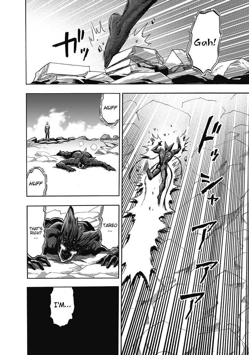 One Punch Man Chapter 227 - Page 41