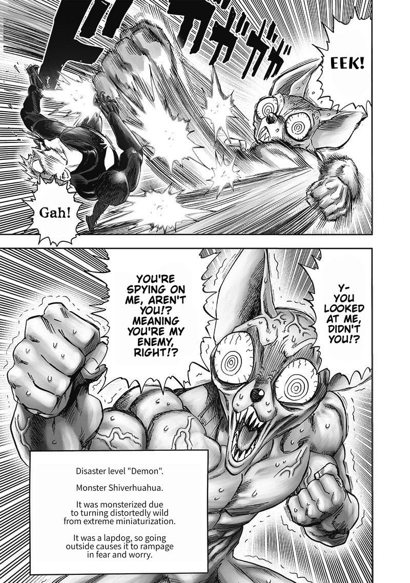 One Punch Man Chapter 246 - Page 17