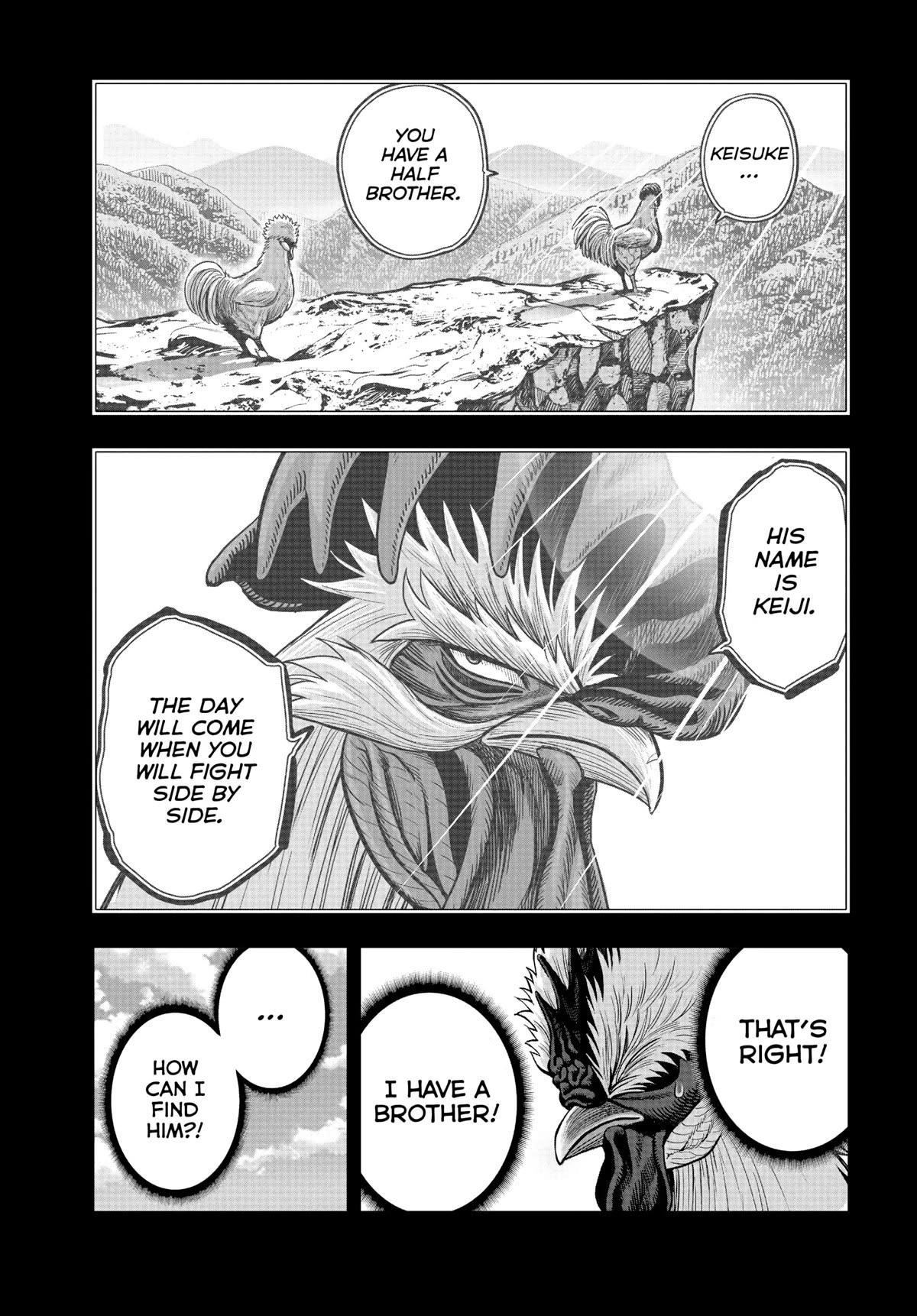 Rooster Fighter Chapter 20 - Page 43