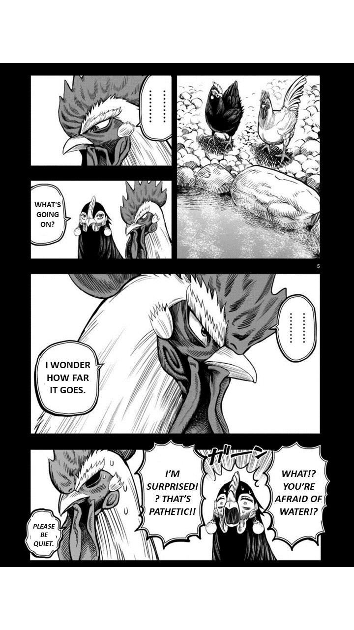 Rooster Fighter Chapter 8 - Page 5