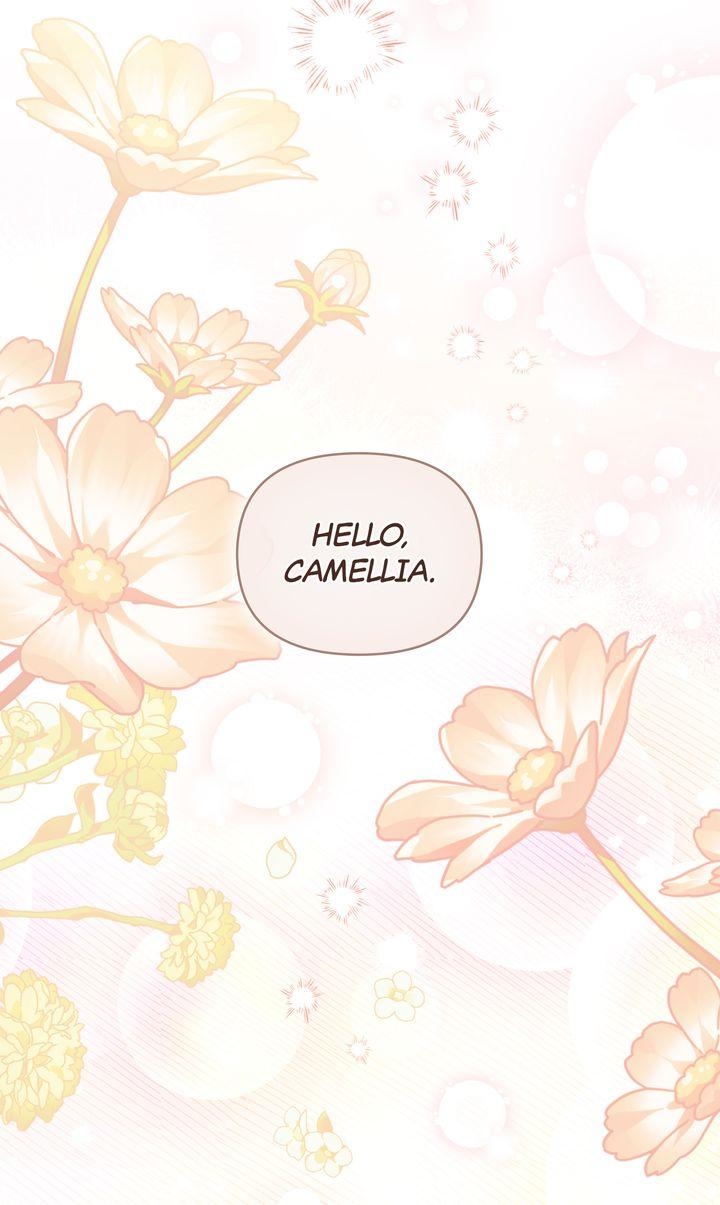 Finding Camellia Chapter 115 - Page 26