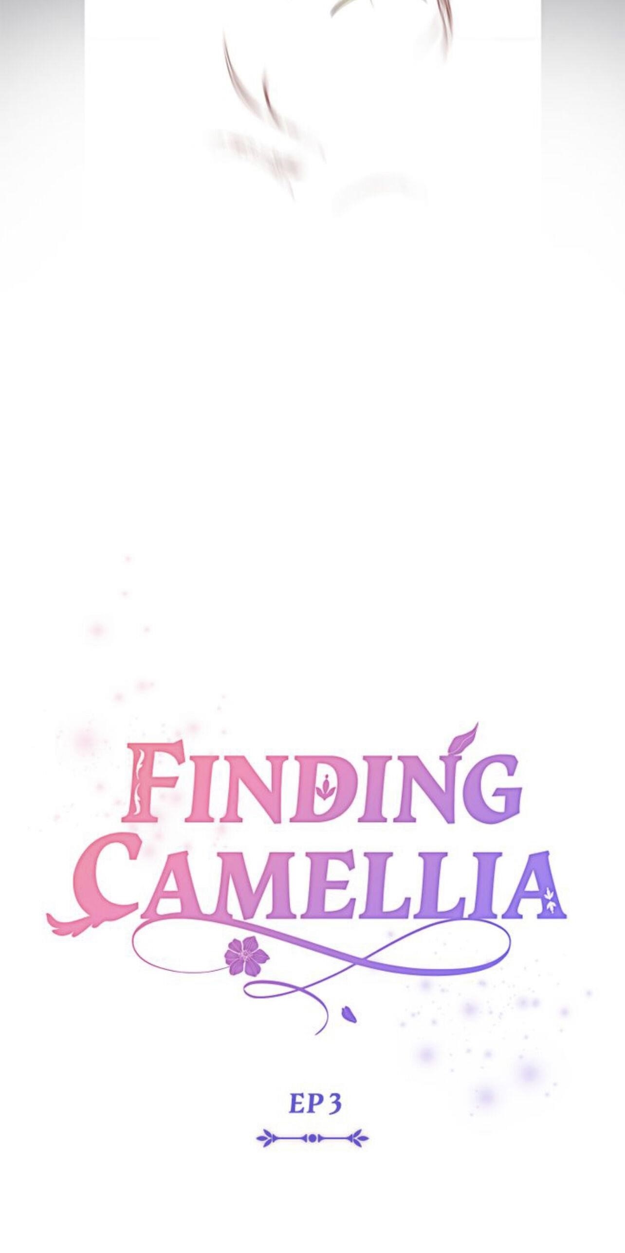 Finding Camellia Chapter 3 - Page 41