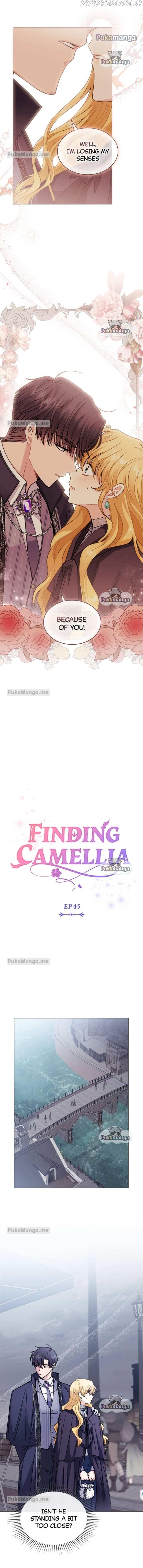 Finding Camellia Chapter 45 - Page 4