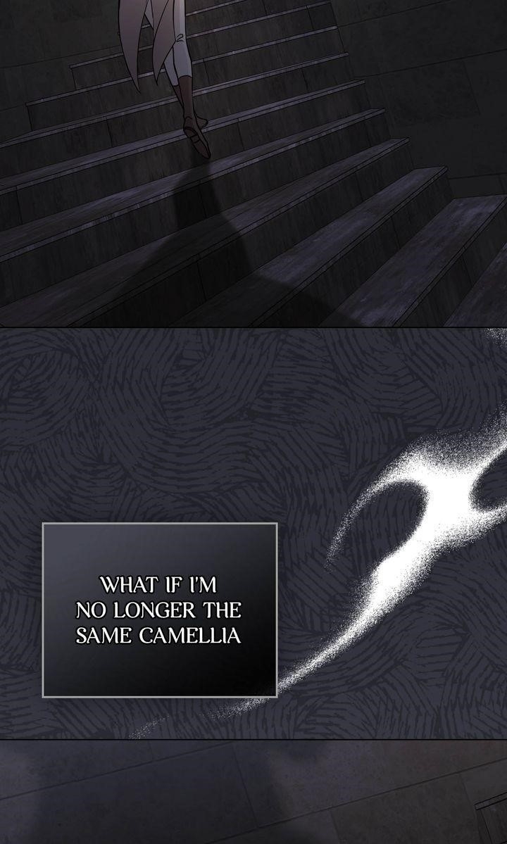 Finding Camellia Chapter 87 - Page 65