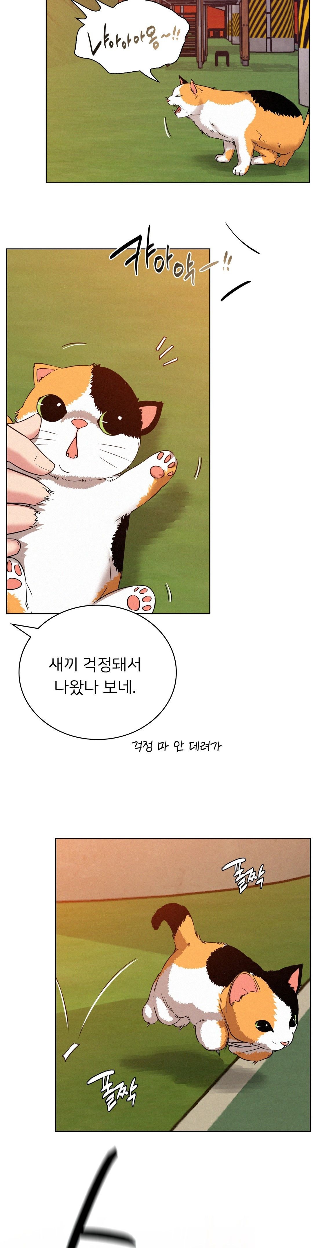 Staying with Ajumma Raw Chapter 33 - Page 21