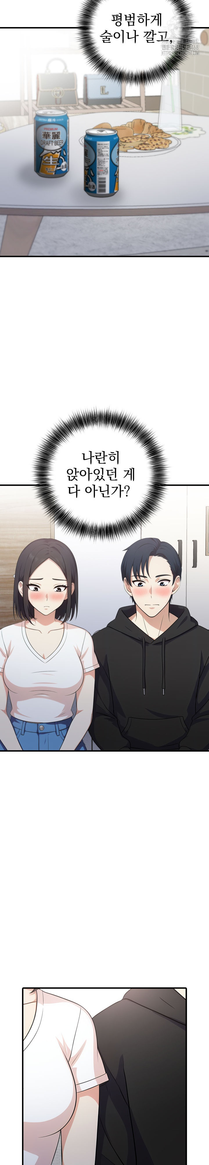 My Secret With My Auntie Raw Chapter 9 - Page 24